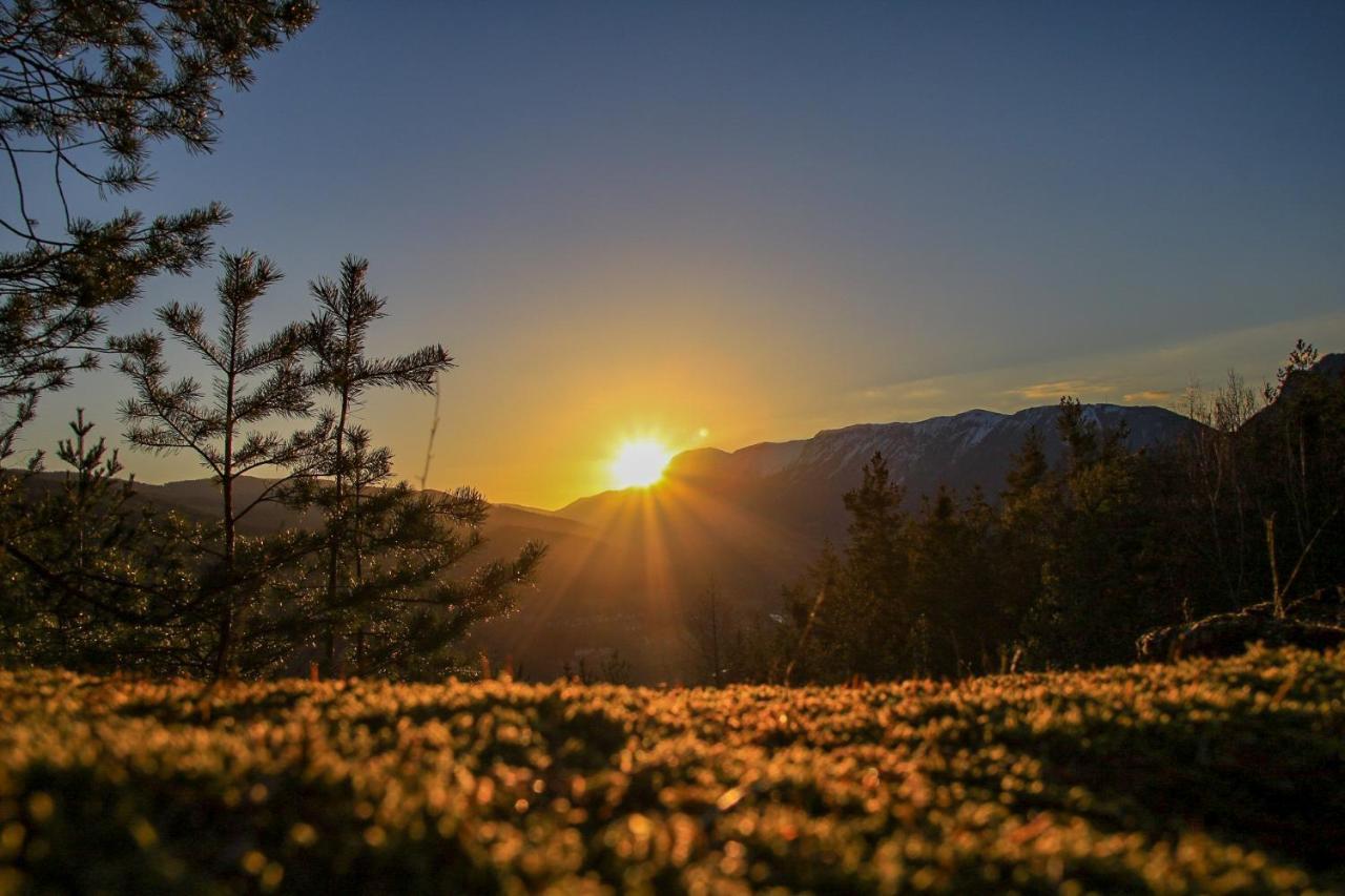 Hotel Payerbacherhof Dış mekan fotoğraf